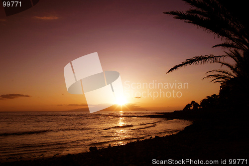 Image of Sunset Paradise