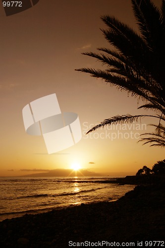 Image of Sunset Paradise