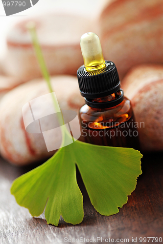 Image of ginko essential oil