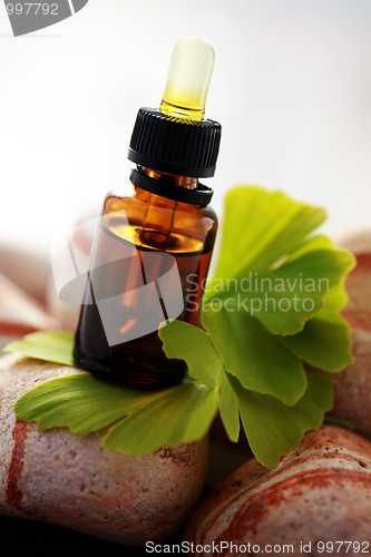 Image of ginko essential oil