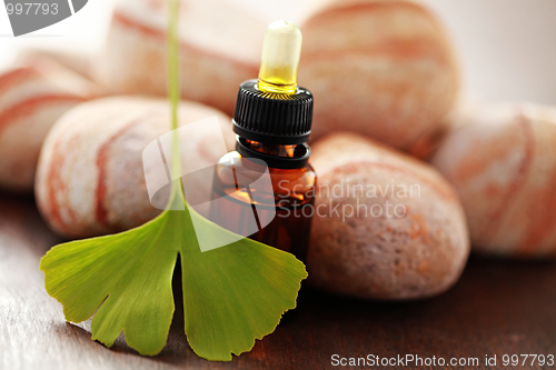 Image of ginko essential oil