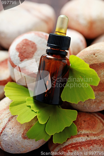 Image of ginko essential oil