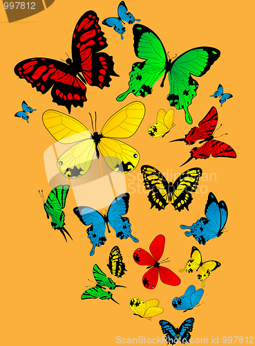 Image of Color butterflies