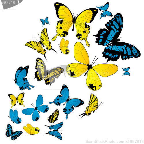 Image of Butterflies background
