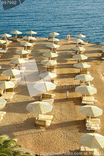 Image of Red Sea Beach