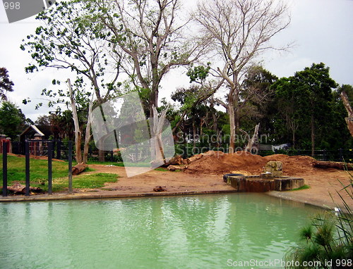 Image of Green pond. Melbourne. Australia