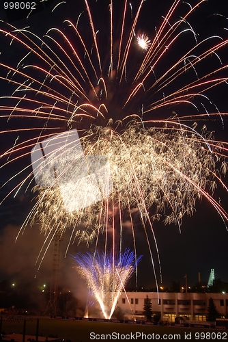 Image of Fireworks flower