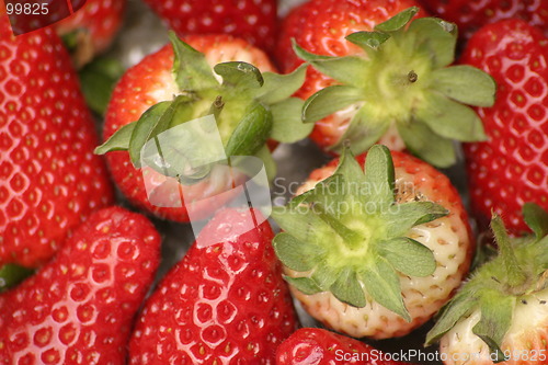 Image of strawberries and green tops