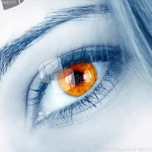 Image of Beautiful shape of female eye 