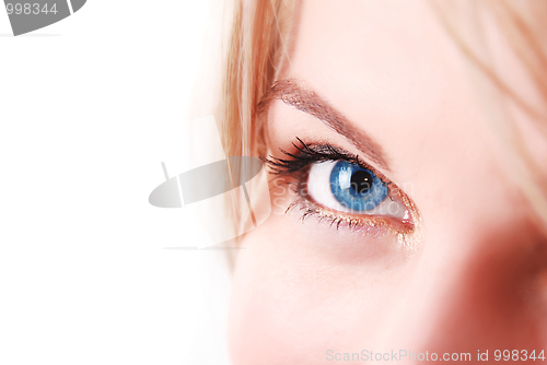Image of blue eye macro