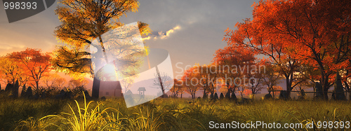Image of autumn leaf