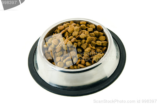 Image of The cat's forage