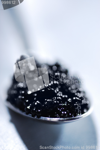 Image of Black caviar 