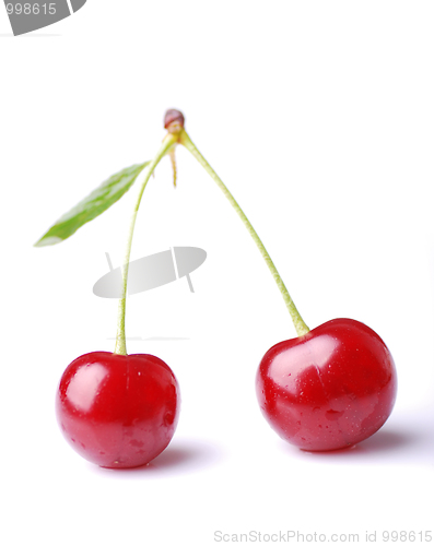 Image of Two cherries 