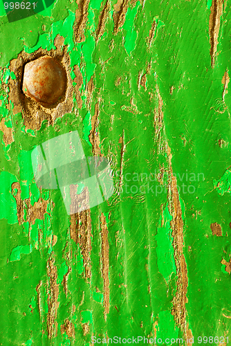 Image of green wood texture 