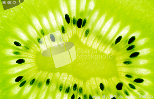 Image of center of kiwi slice 