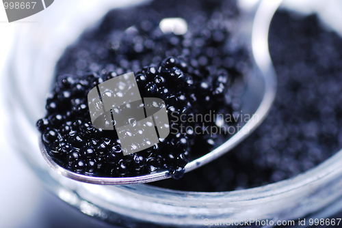 Image of Black caviar
