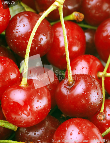 Image of bunch of fresh cherries