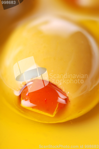 Image of Olive in olive oil