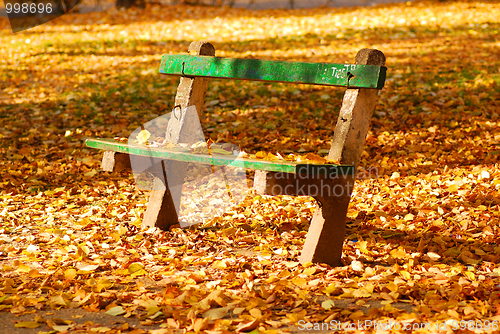 Image of Autumn