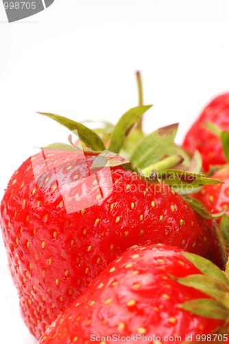 Image of fresh strawberry 