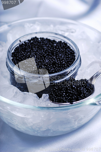 Image of Black caviar 