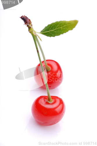 Image of Two cherries 