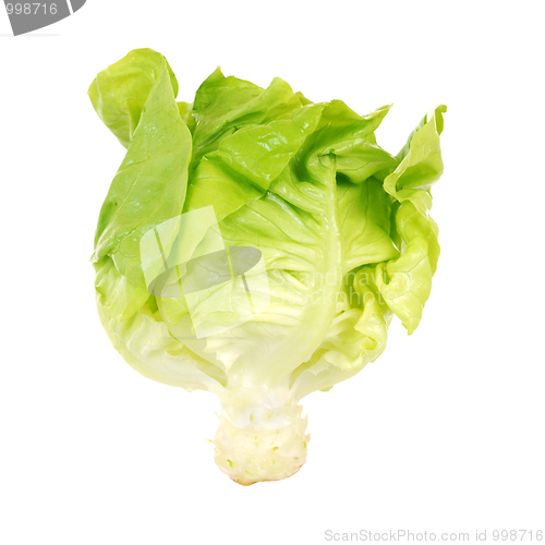 Image of salad lettuce