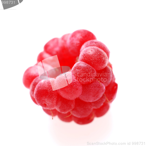 Image of raspberry on white