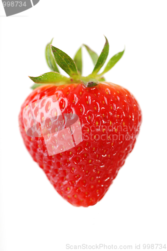 Image of fresh strawberry 