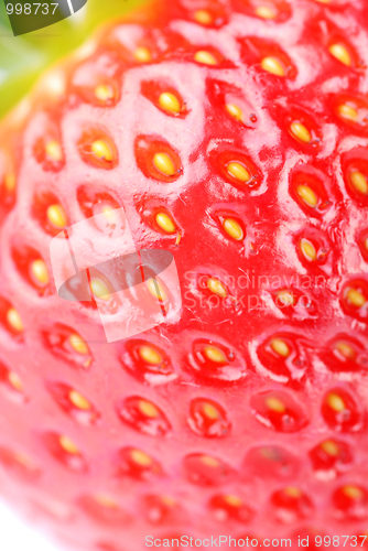 Image of fresh strawberry 