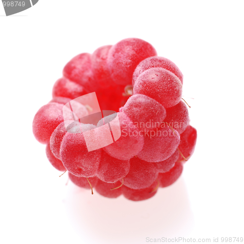 Image of raspberry on white
