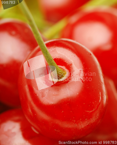 Image of bunch of fresh cherries