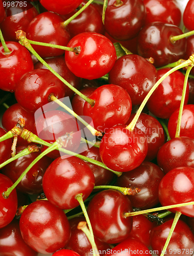 Image of bunch of fresh cherries