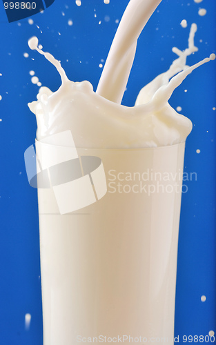 Image of Milk splash 