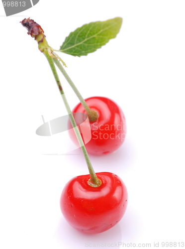 Image of Two cherries 