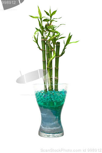 Image of Glass jar with bamboo 