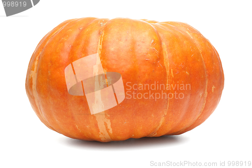 Image of Orange pumpkin 