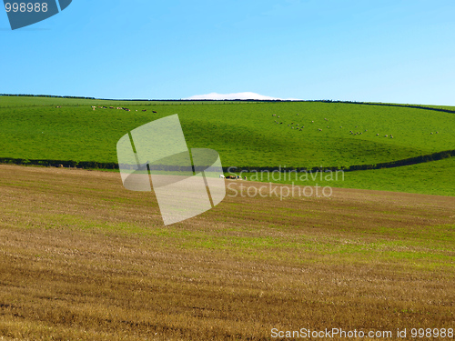 Image of Cardross hill