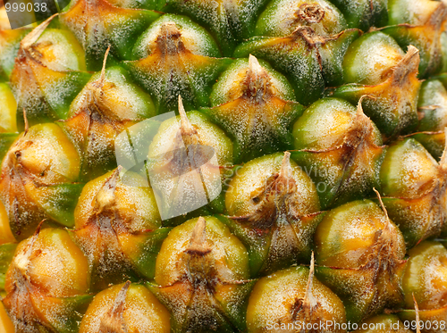 Image of pineapple pine