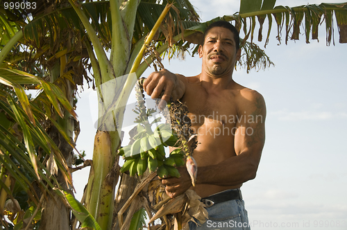 Image of native Nicaragua man with banana plantains