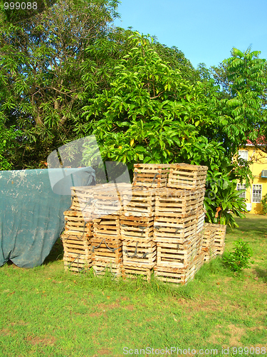 Image of lobster pot traps in yard Big Corn Island Nicaragua