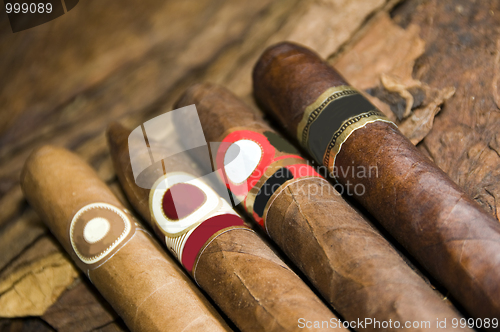 Image of variety hand rolled cigars on tobacco leaf made in Nicaragua