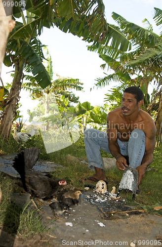 Image of native man feeding chickens coconut