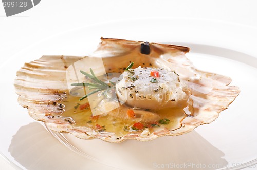 Image of Scallop