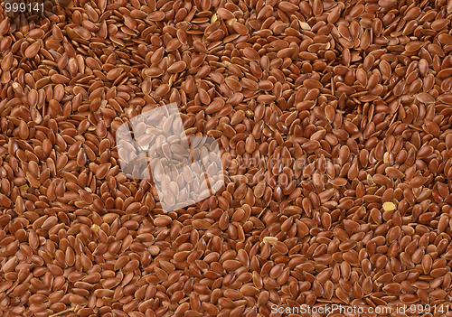 Image of Linseed