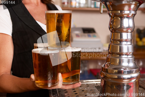 Image of Skilful waitress