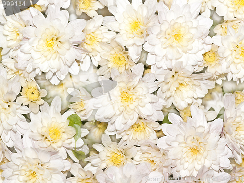 Image of flower background