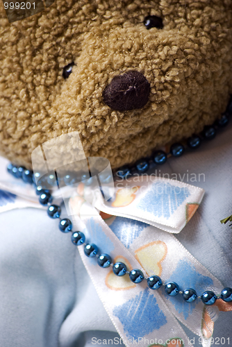 Image of Soft bear close-up 