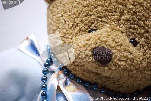 Image of Soft bear close-up 